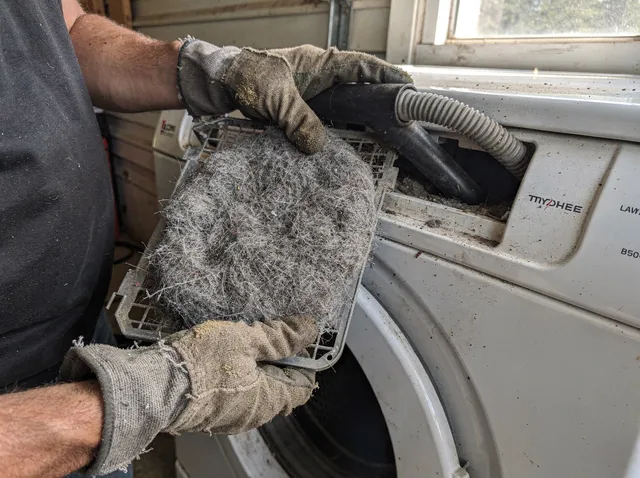 Cleaning Dryer Lint Trap in Artesia